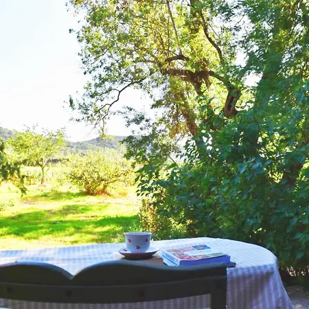 Maison En Pierre Renovee Avec Jardin Et Piscine Privative Chauffee Ιέρ