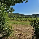 Maison En Pierre Renovee Avec Jardin Et Piscine Privative Chauffee Будинок відпочинку Єр