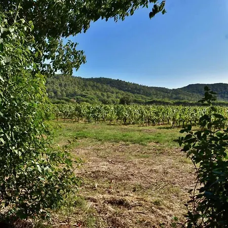 Maison En Pierre Renovee Avec Jardin Et Piscine Privative Chauffee بيت للعطل Hyères