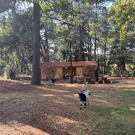 Maison En Pierre Renovee Avec Jardin Et Piscine Privative Chauffee Єр