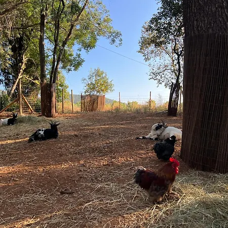Maison En Pierre Renovee Avec Jardin Et Piscine Privative Chauffee Holiday home Hyeres