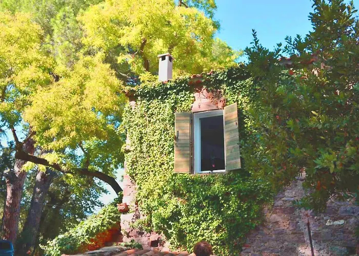 Holiday home Maison En Pierre Renovee Avec Jardin Et Piscine Privative Chauffee Hyeres