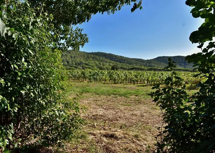 Maison En Pierre Renovee Avec Jardin Et Piscine Privative Chauffee Holiday home Hyeres