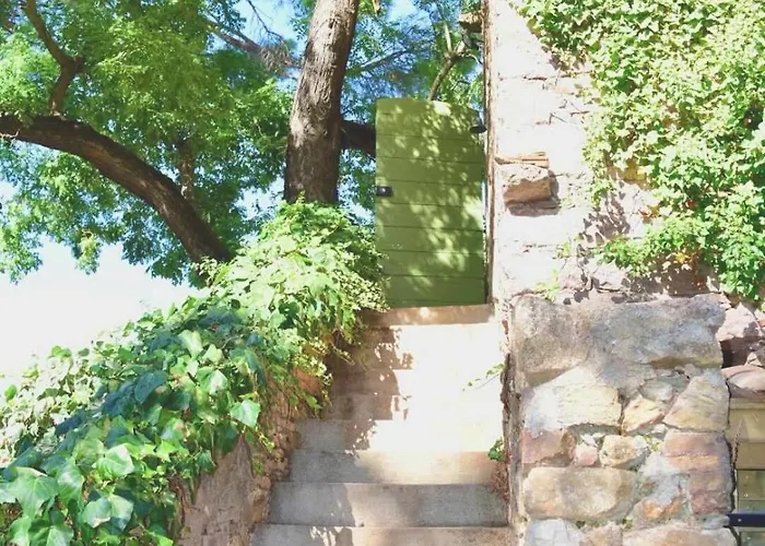 Maison En Pierre Renovee Avec Jardin Et Piscine Privative Chauffee Holiday home Hyeres