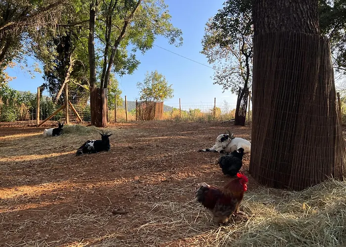 Maison En Pierre Renovee Avec Jardin Et Piscine Privative Chauffee Holiday home Hyeres